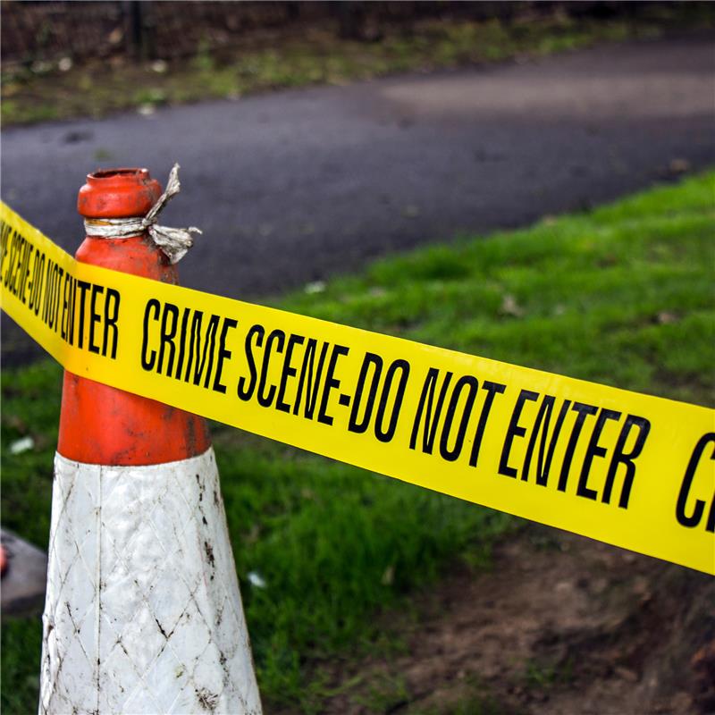 Crime and Justice Bundle through Luther College