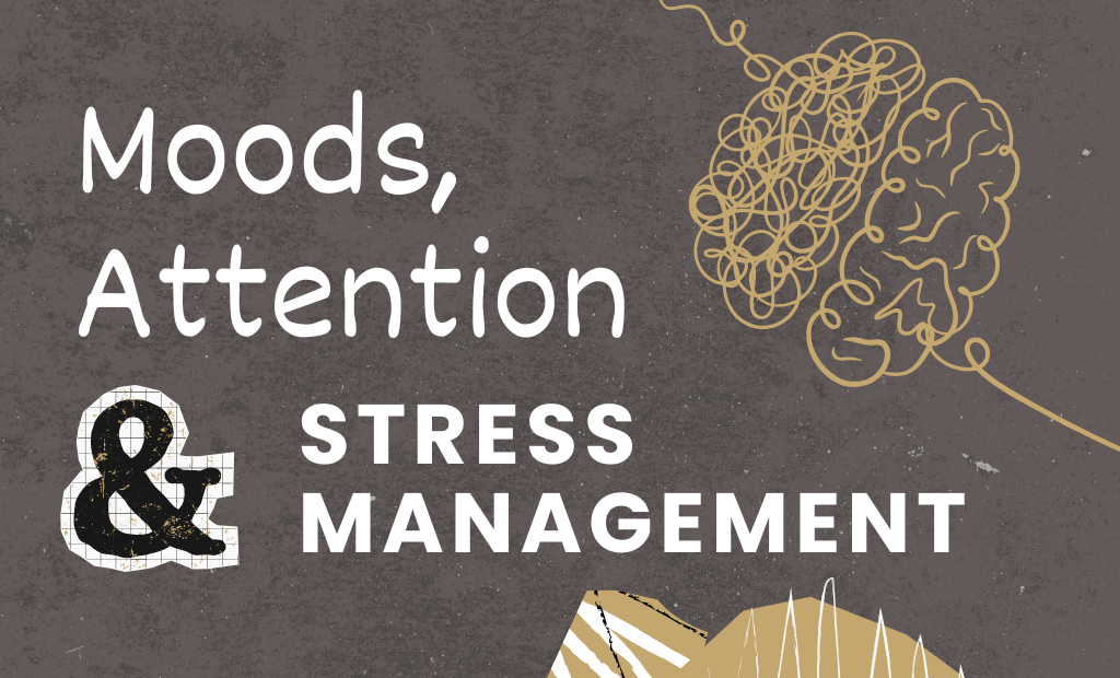 Parent Teacher Interviews